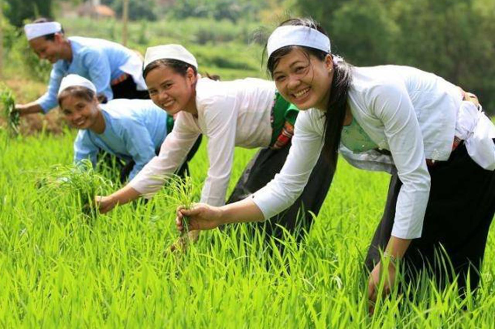 Hoạt động canh tác nương rẫy của người Mường ở Cẩm Lương