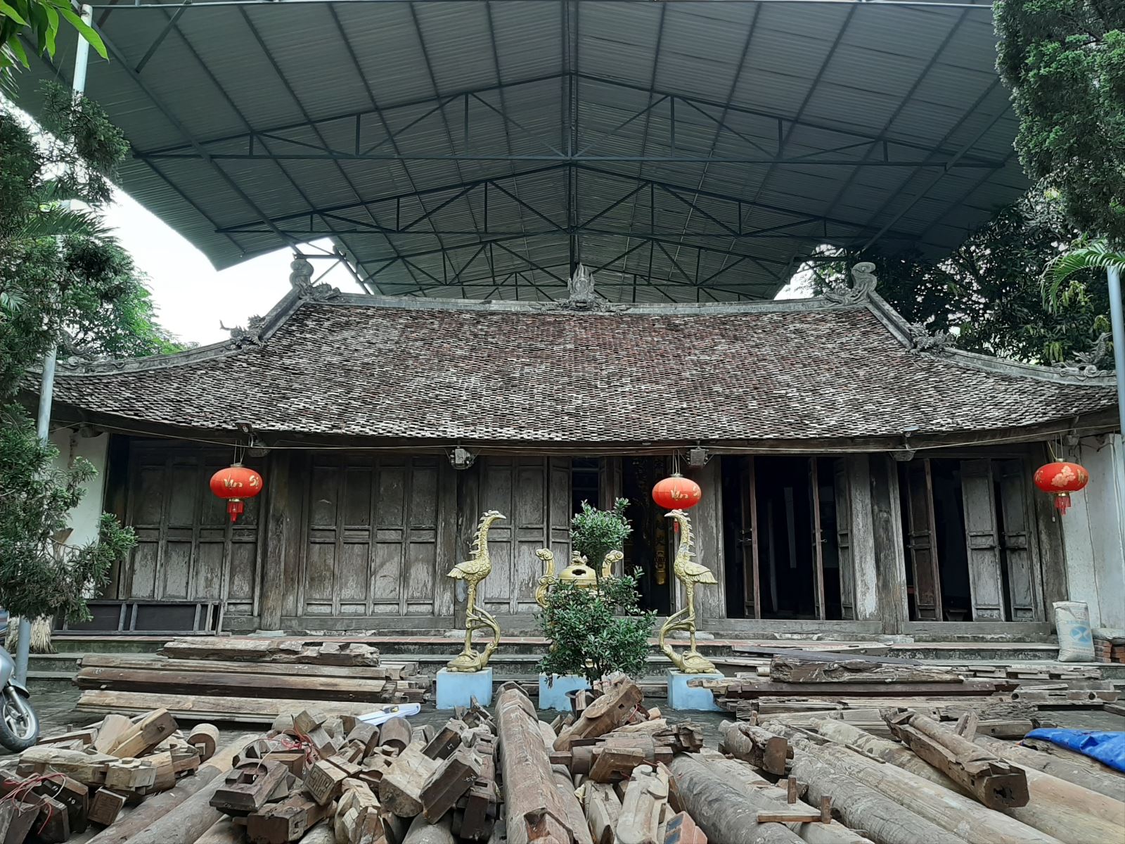 Vẻ đẹp của Ninh Thái linh từ