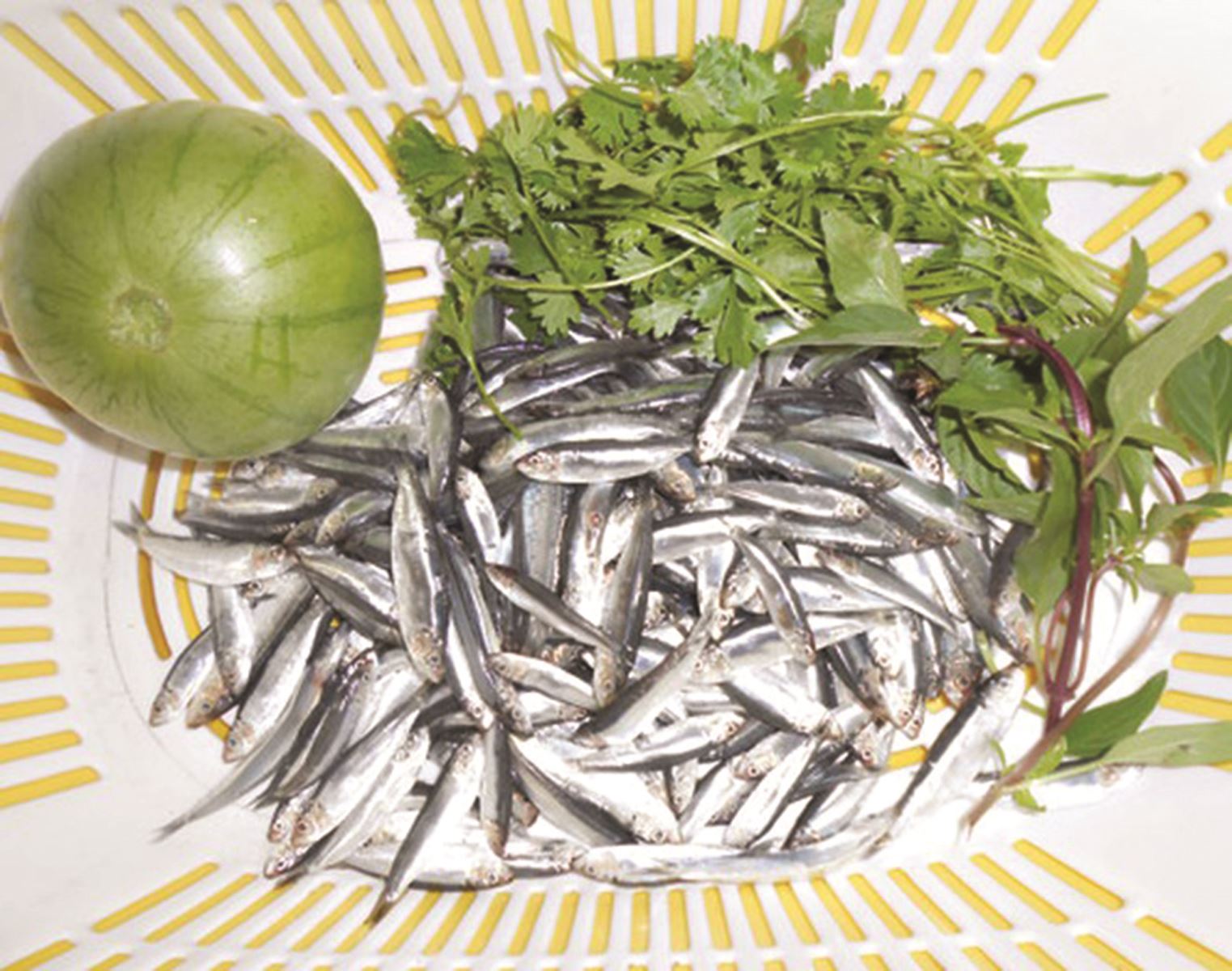 Canh bầu nấu với cá De