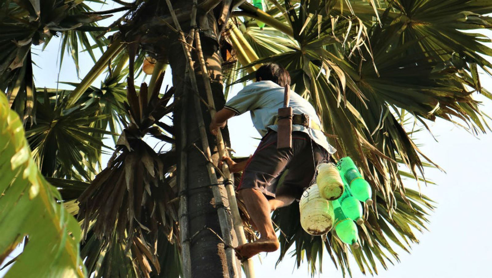 Nghề “Ăn cơm dưới đất làm việc trên... trời”