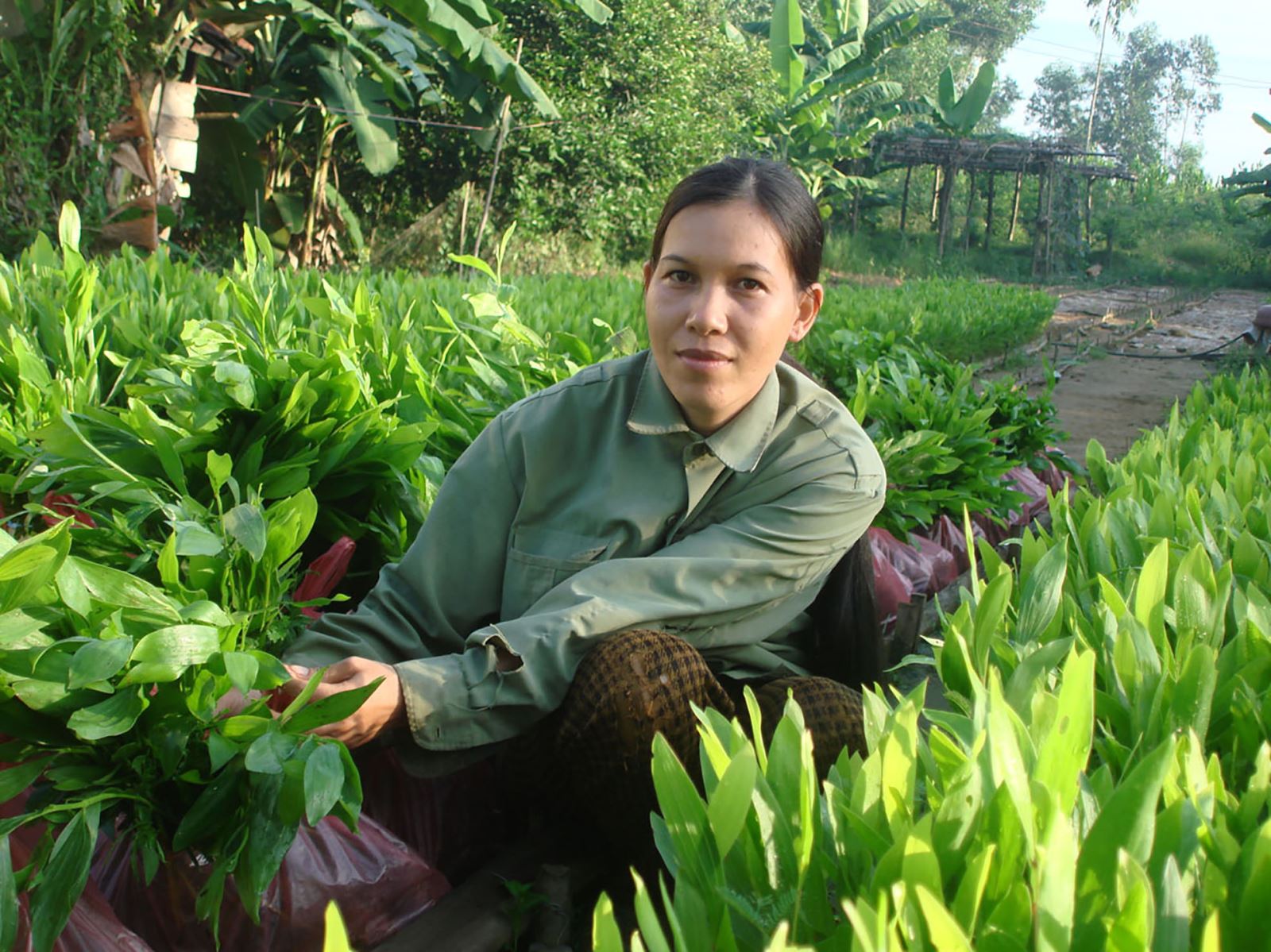 Đất lành chim đậu