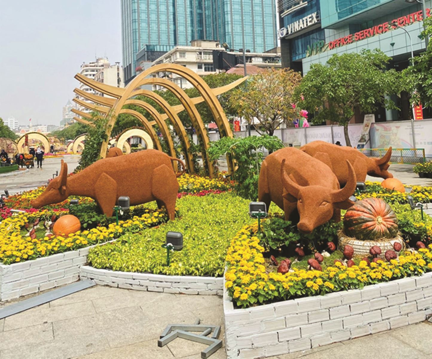 Tết trâu và phong tục lạ