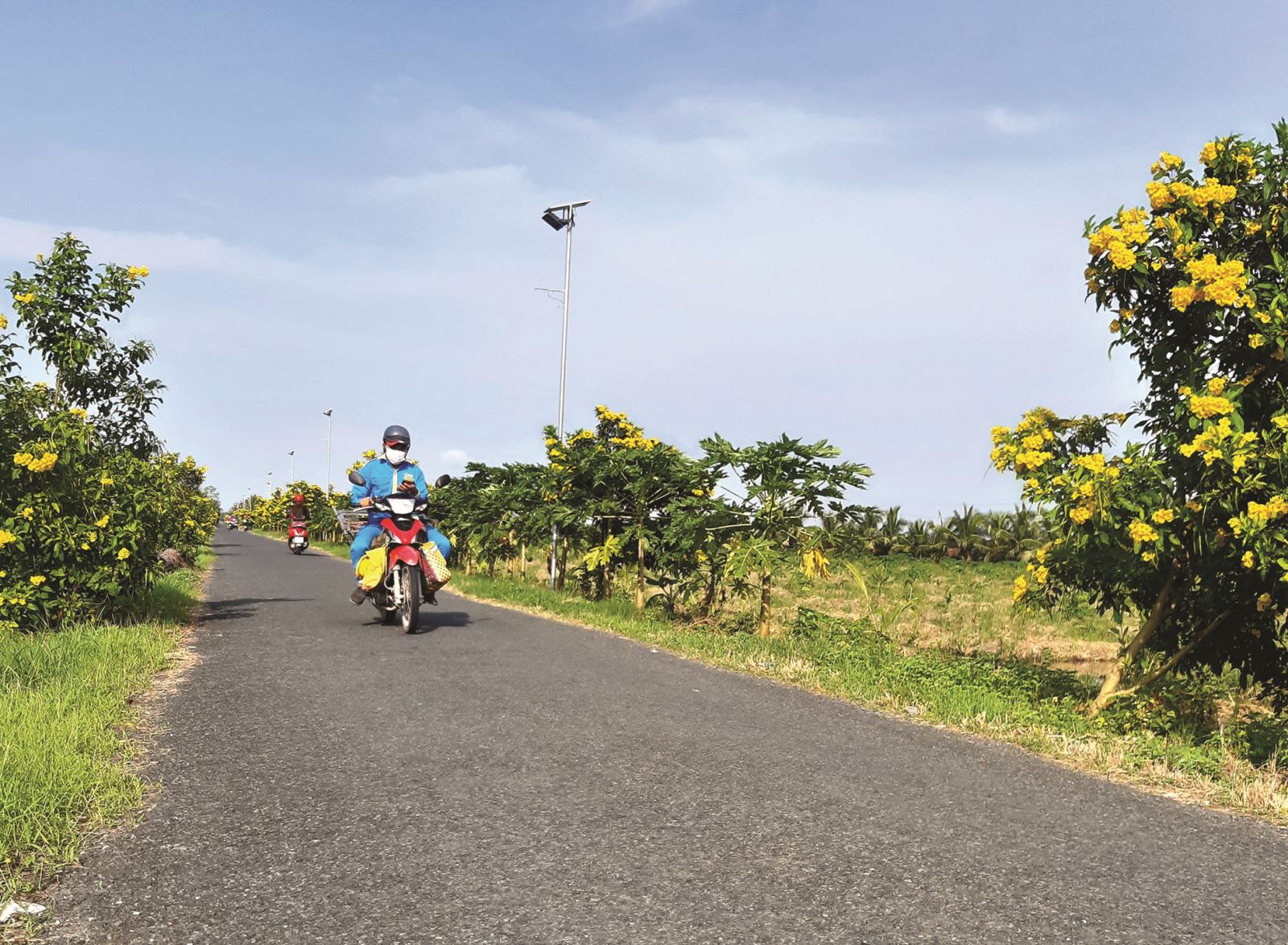 Gò Quao đạt chuẩn huyện nông thôn mới