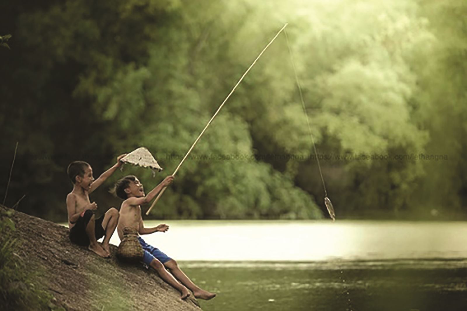 Thú đam mê câu cá rô đồng