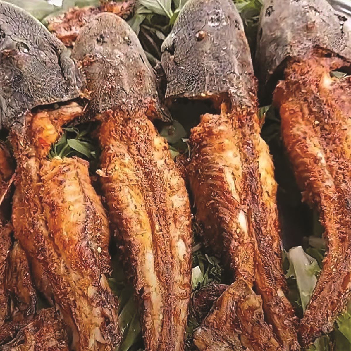 Món ăn lạ miệng: Cá lau kính nướng muối sả 