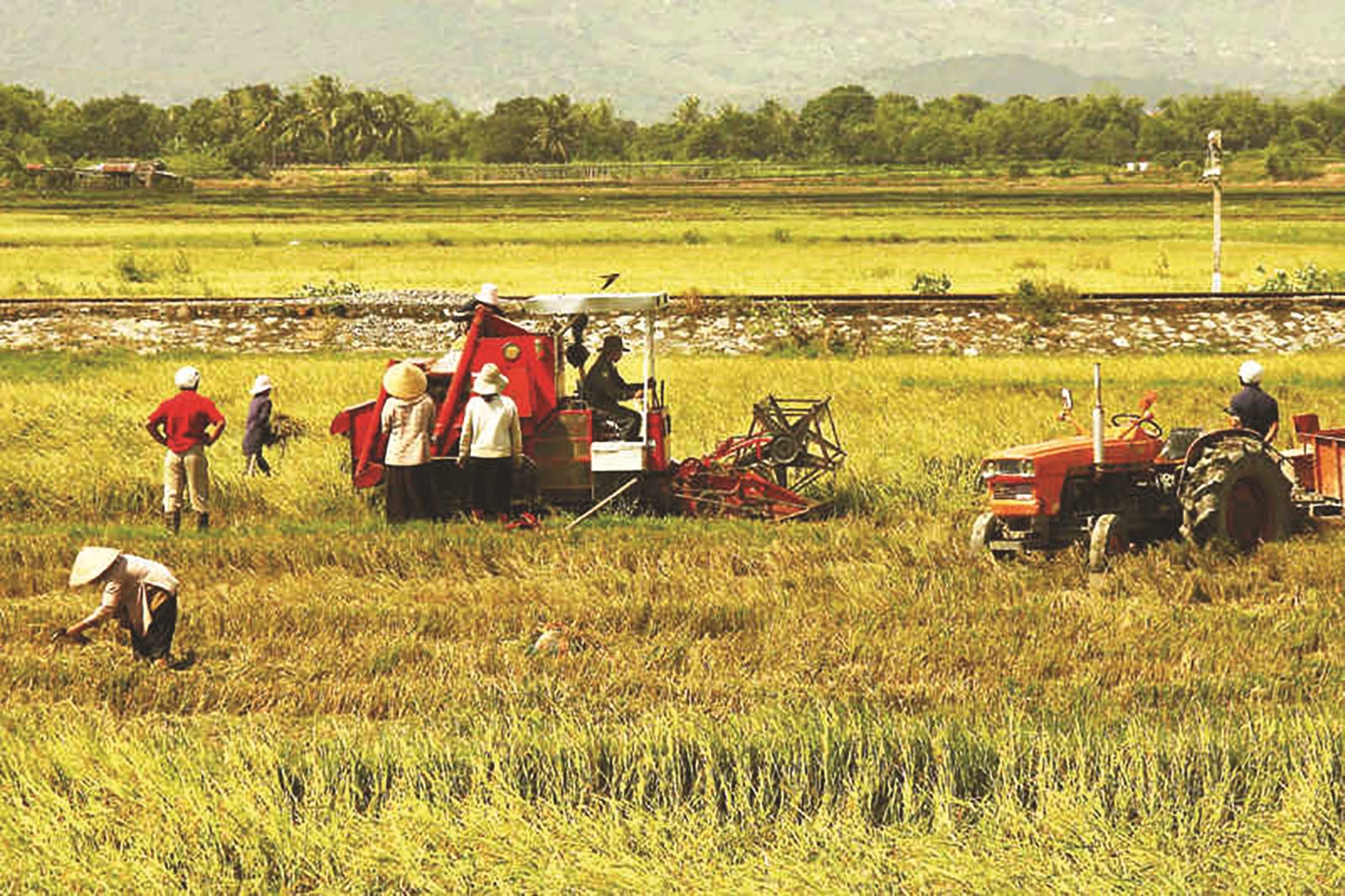 Cần thay đổi nếp nghĩ truyền thống của người nông dân khi xây dựng nông thôn mới