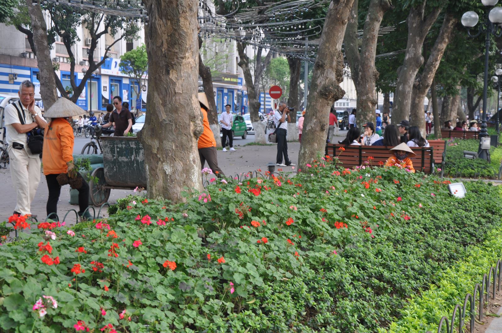 Hà Nội: Tổ chức cuộc thi “Giữ gìn ngõ phố, xanh, sạch, trang hoàng đường phố đẹp”