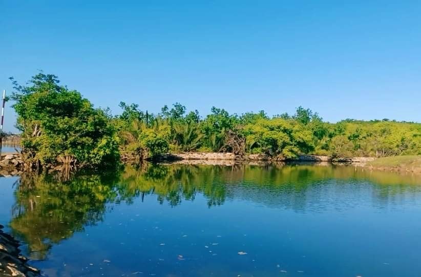 Có một “Robinson" giữa Rú Chá