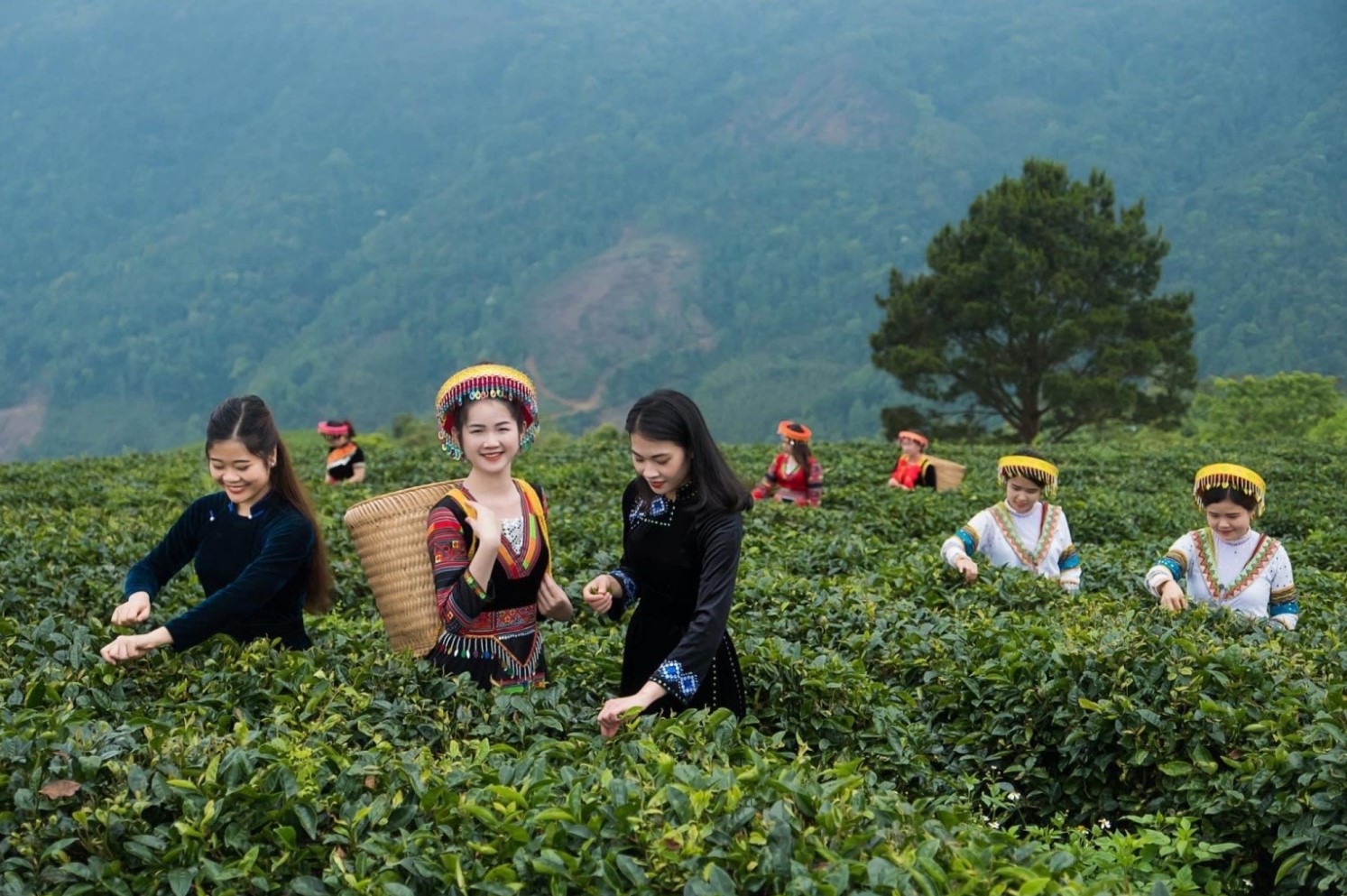 Tiềm năng phát triển du lịch cộng đồng tại Cao Bằng