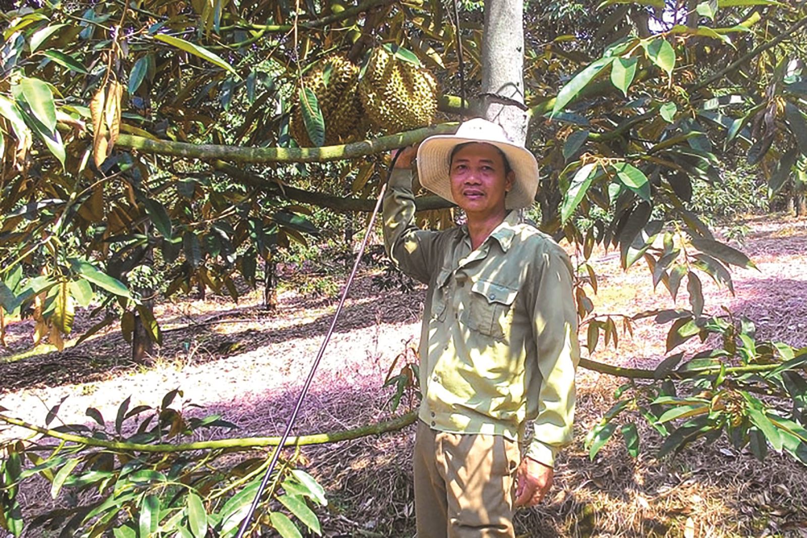Chuyện về  “Câu lạc bộ tỷ phú”