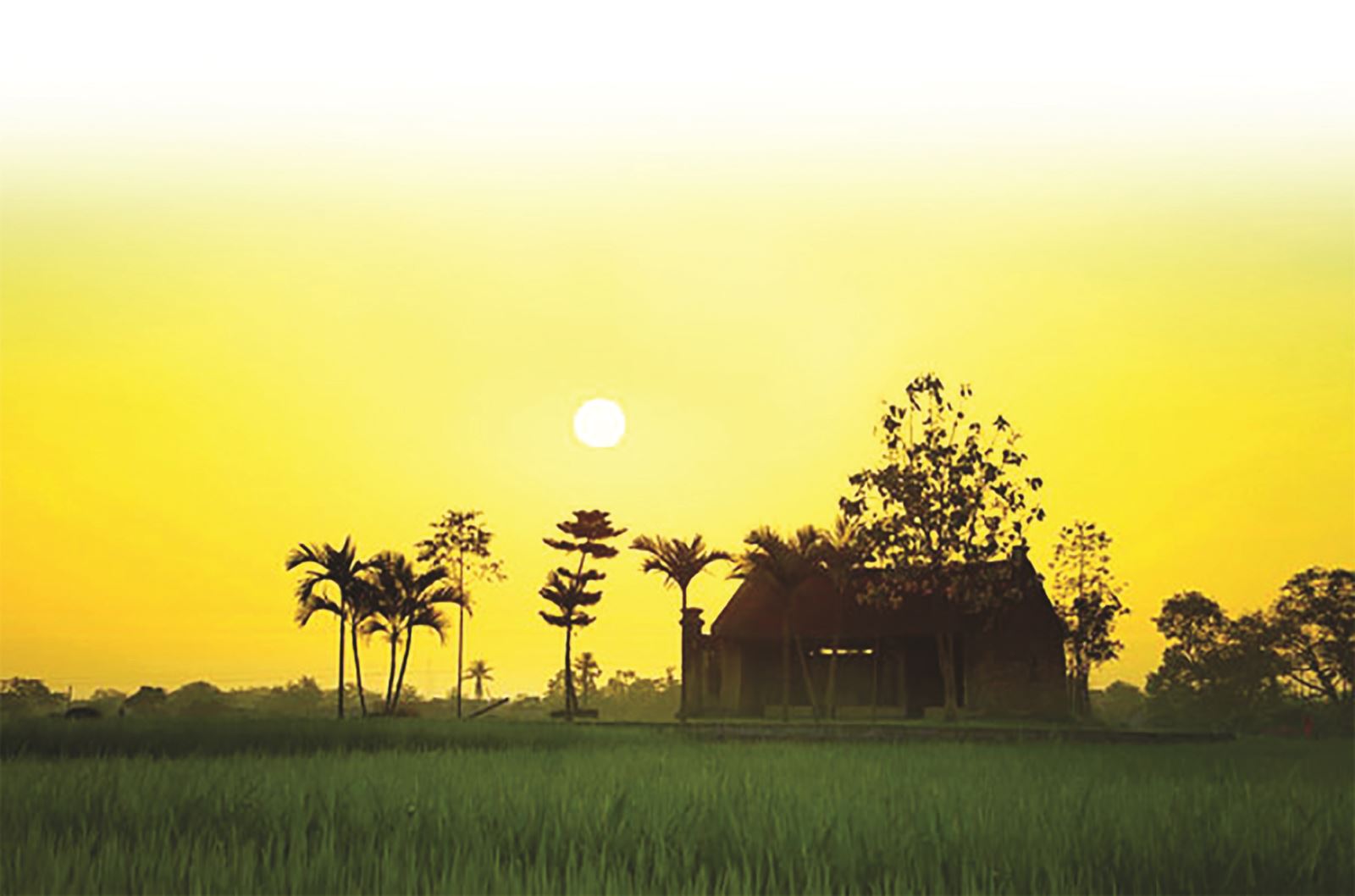 Khung trời hoài niệm