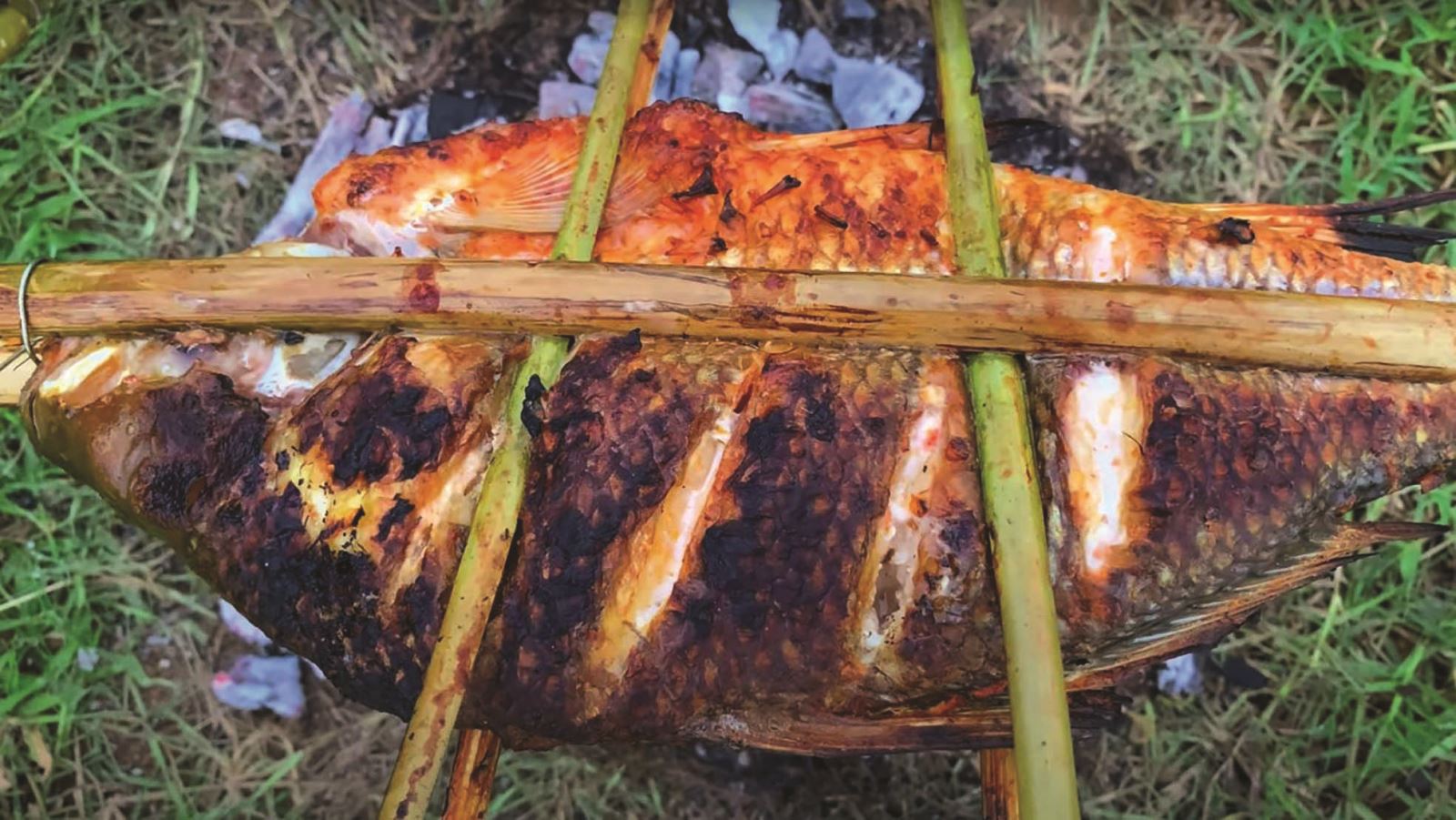 Tục nướng cá tế thần làng Đình Tổ