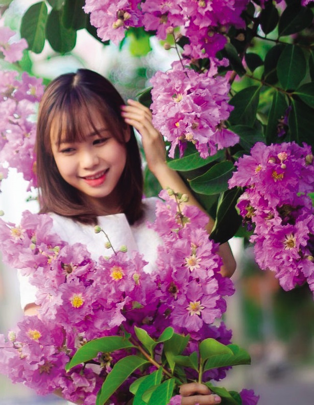 Bằng lăng tha thiết gọi mùa…
