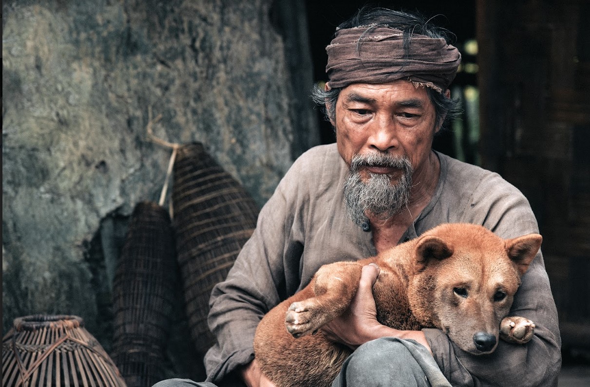 Luật Điện ảnh (sửa đổi): Tạo đà cho phim Việt