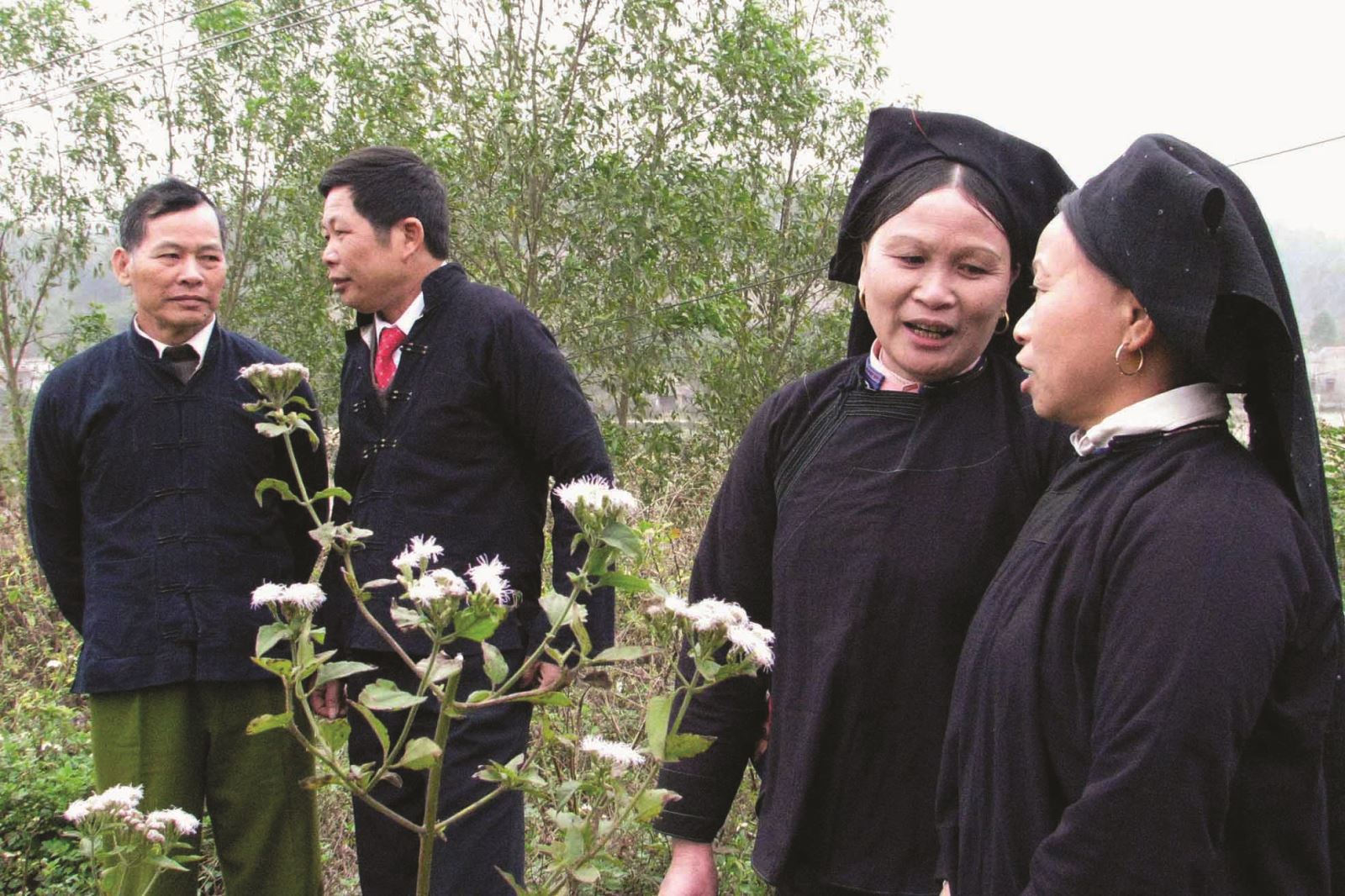Đất vải vào mùa du ca