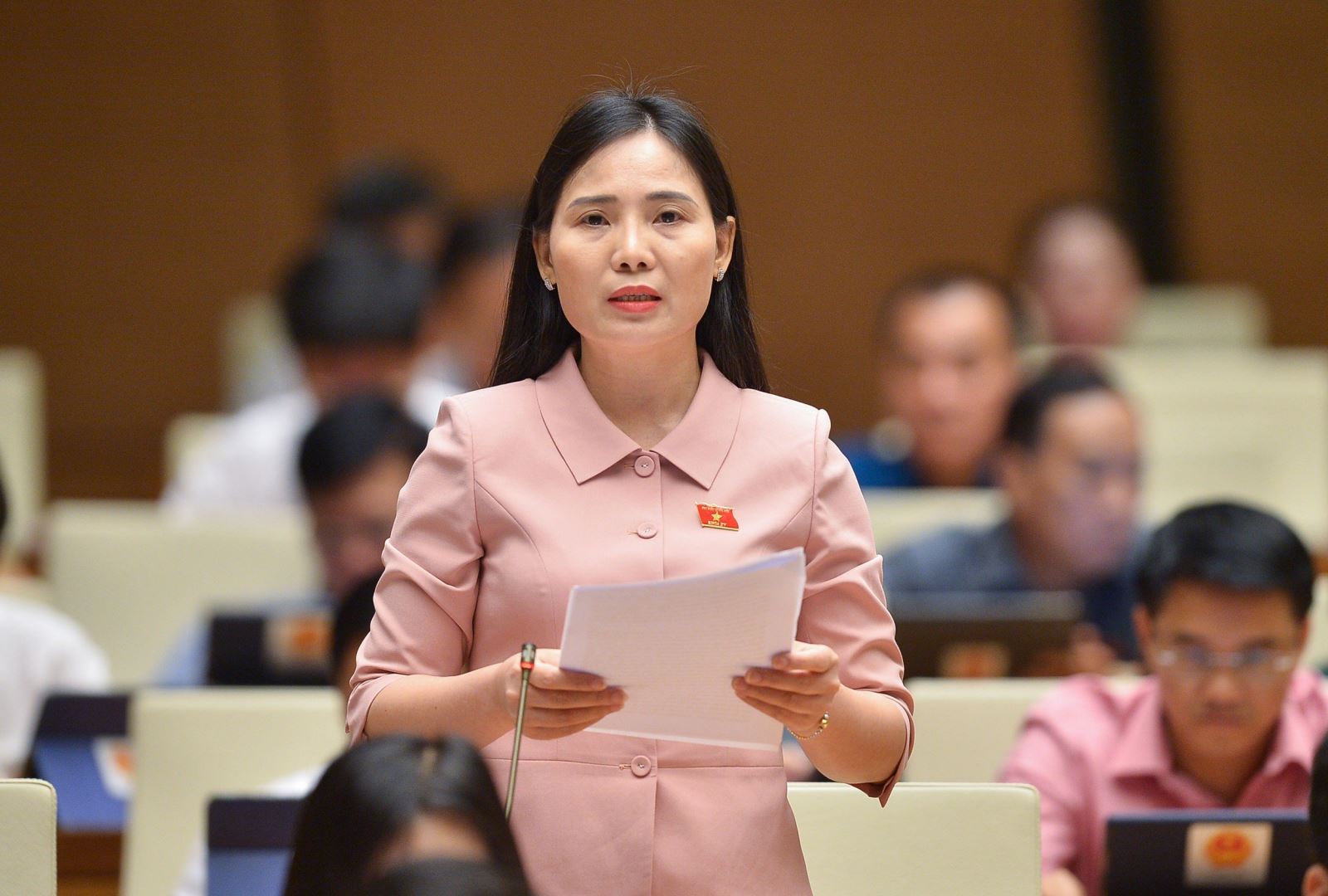 Đại biểu Quốc hội đề nghị tăng mức chi ngân sách nhà nước cho văn hóa