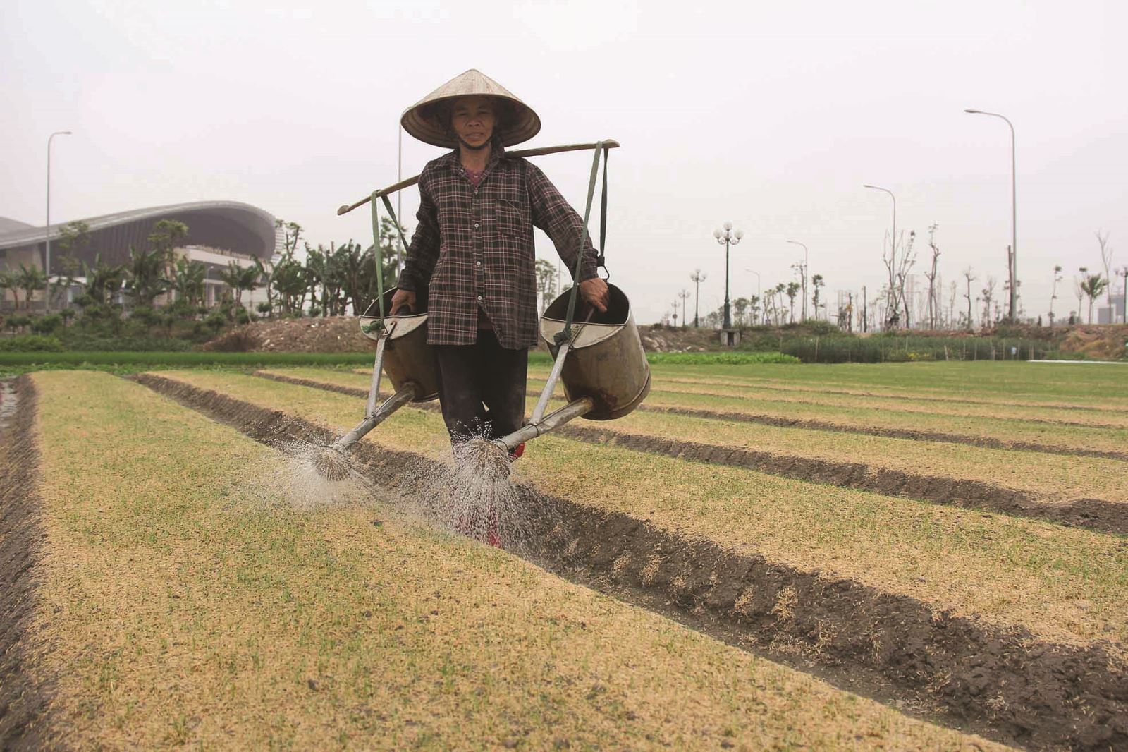 Phố phường vẫn “bám” nghề nông