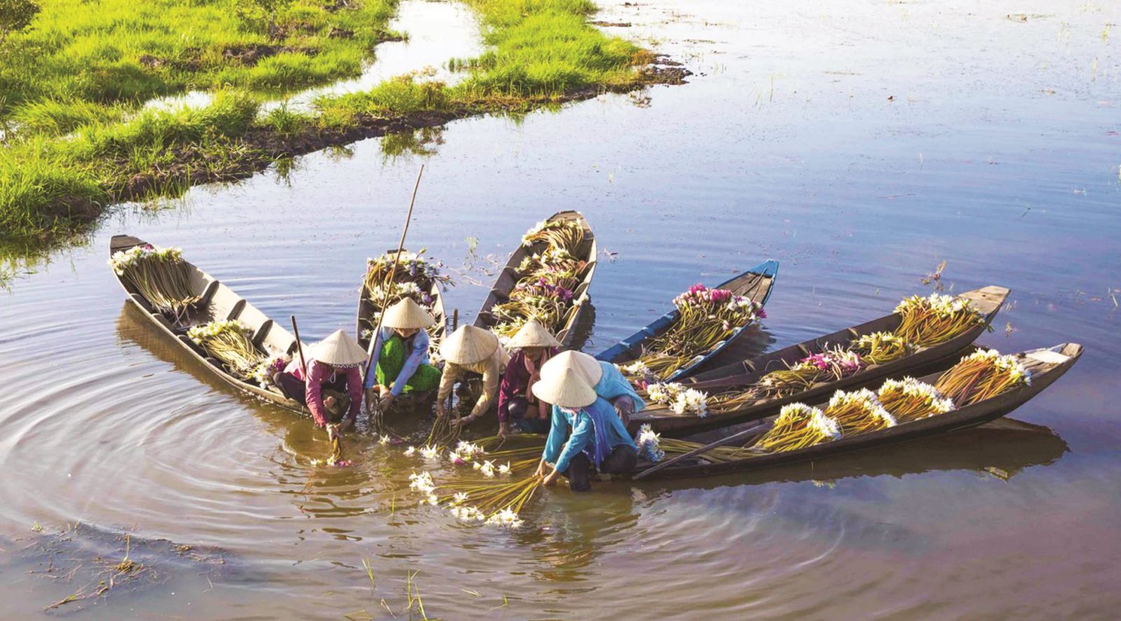 Sinh kế mùa nước nổi ở Nam Bộ