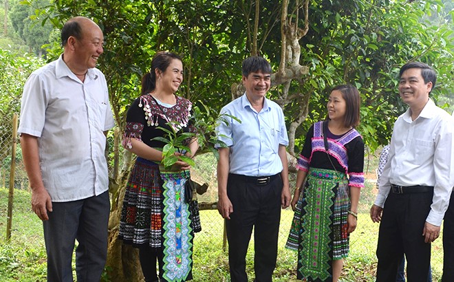 Yên Bái xây dựng đội ngũ cán bộ văn hóa cấp cơ sở đáp ứng yêu cầu phát triển bền vững