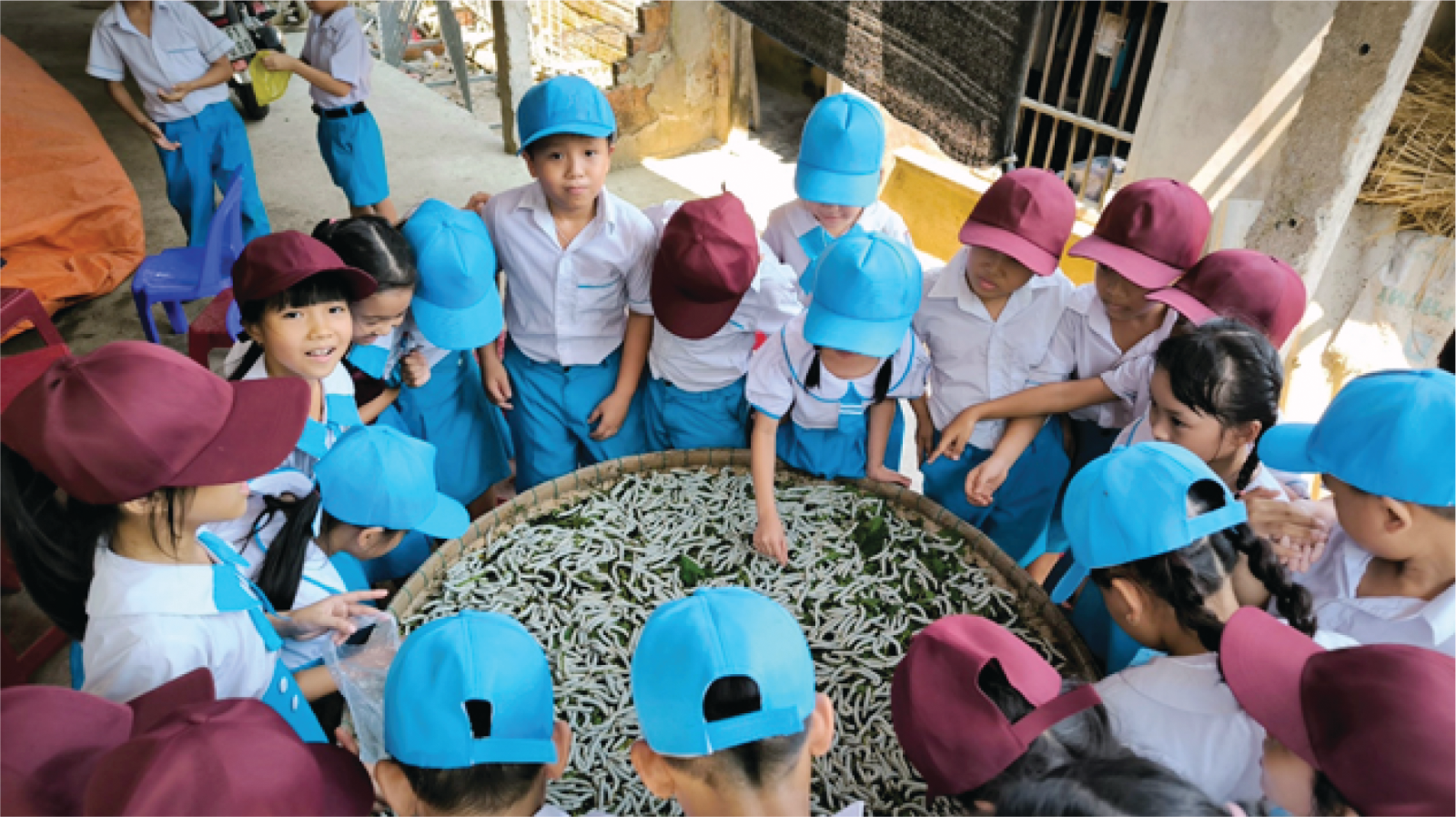 Quảng Ngãi: Xây dựng điểm du lịch cộng đồng,  du lịch nông nghiệp - kinh nghiệm thực tiễn từ mô hình làng du lịch cộng đồng Bình Thành