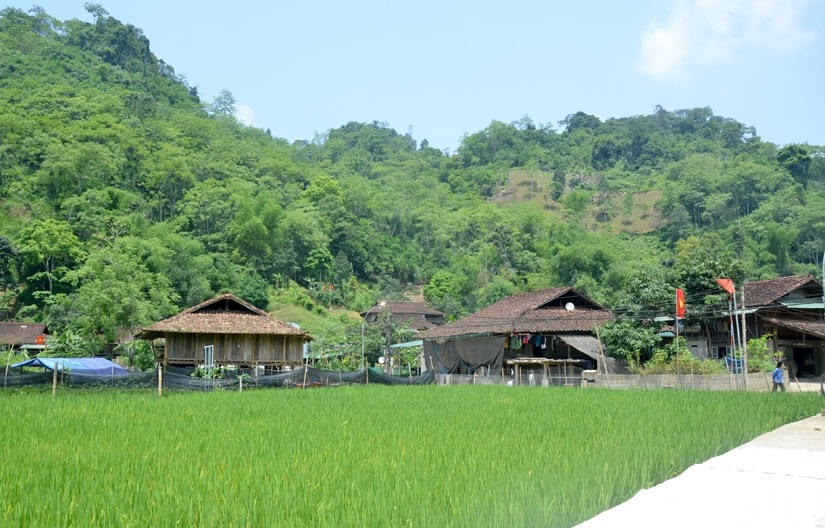 Bảo tồn, phát huy nhà sàn truyền thống của người Tày ở huyện Na Hang, Tuyên Quang - Gắn với phát triển du lịch cộng đồng