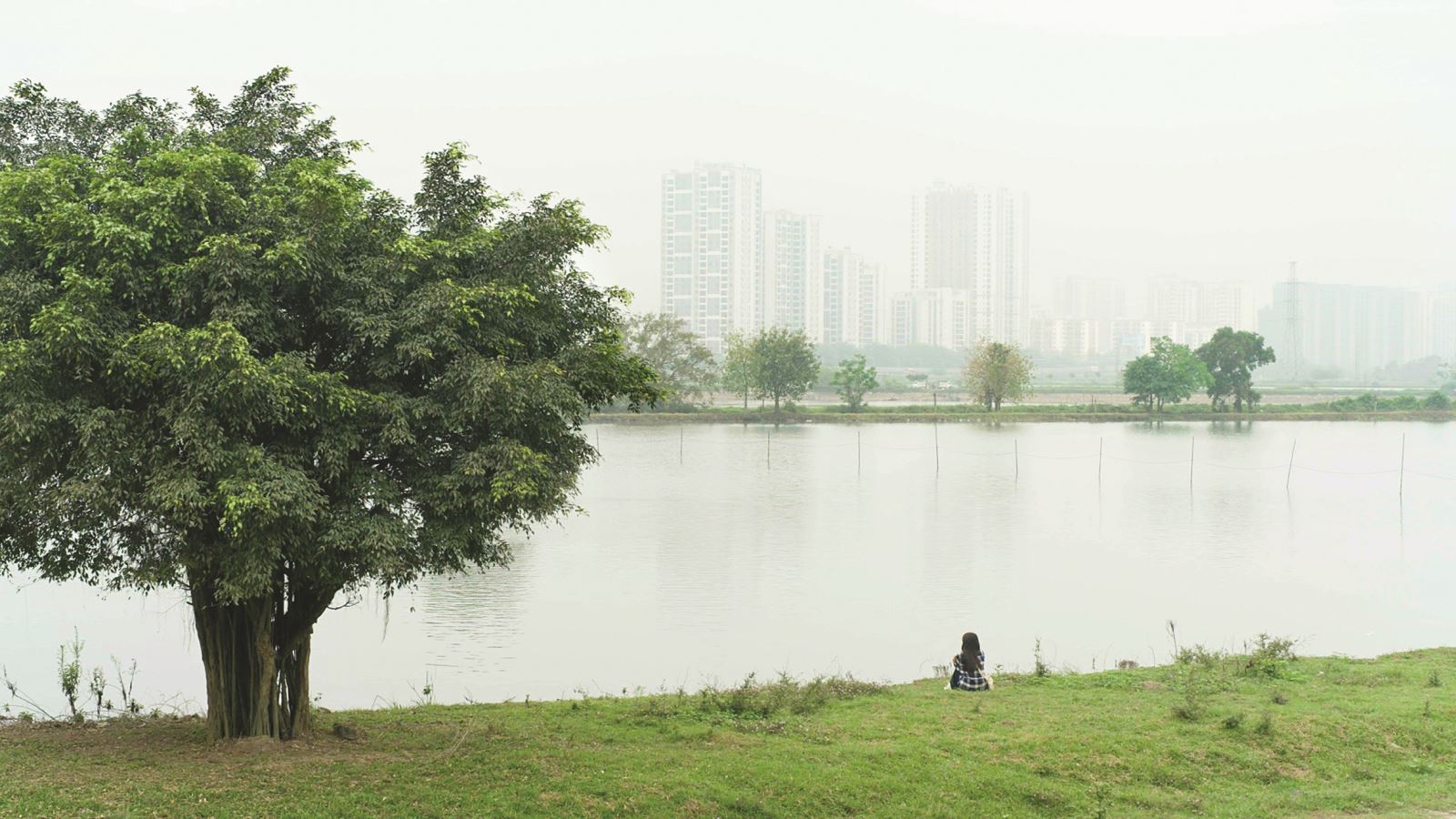Khi người lao động lên phim