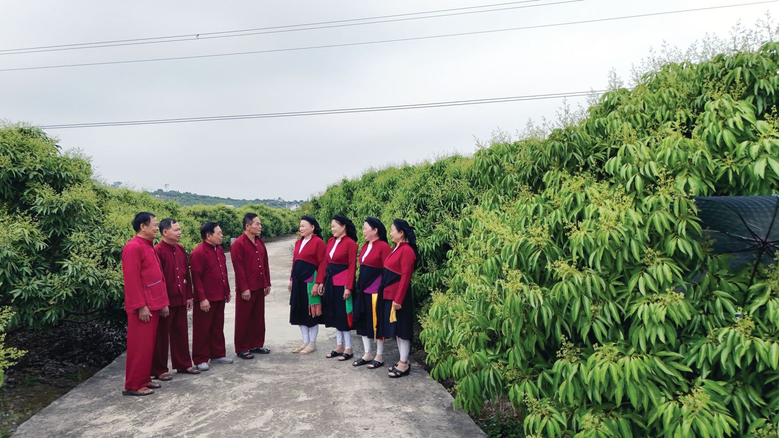 Vị ngọt thôn Muối