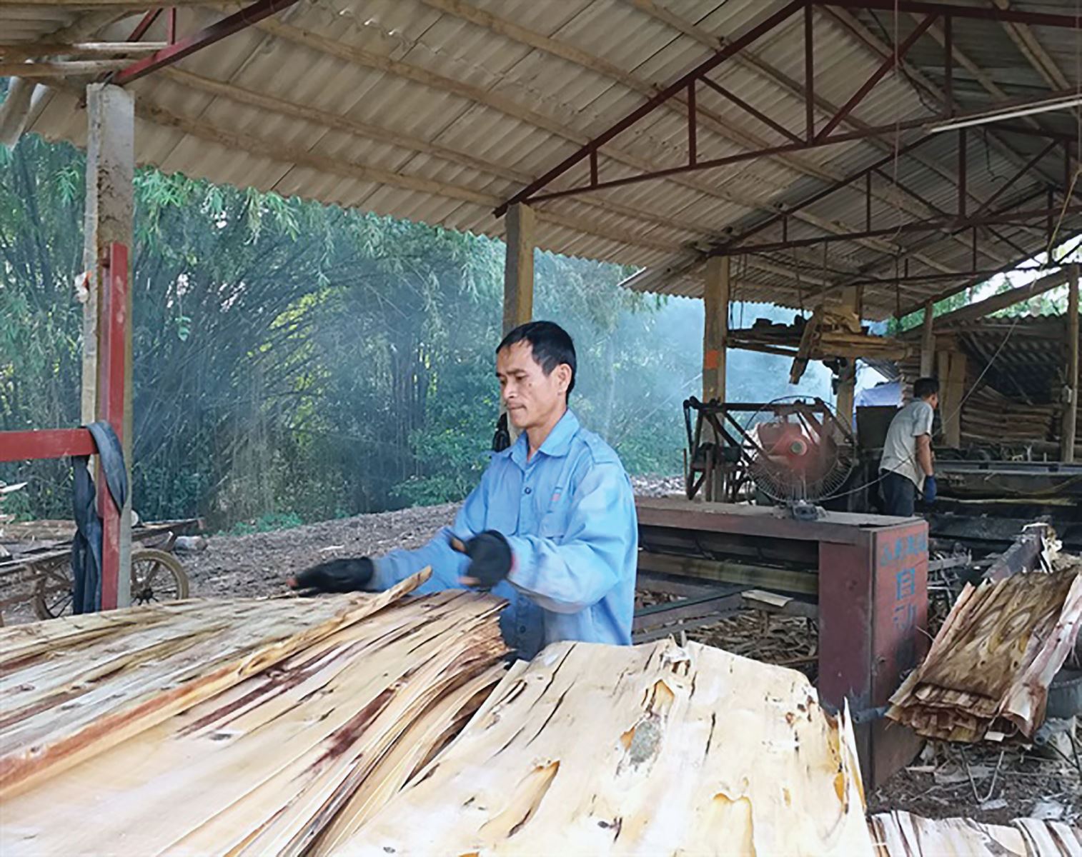 Những cách làm giàu mới của nông dân Phú Khê
