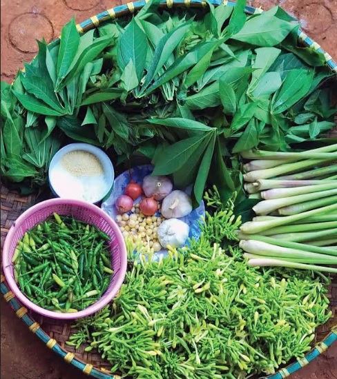 Lên Đắk Lắk ăn lá mì xào hoa đu đủ